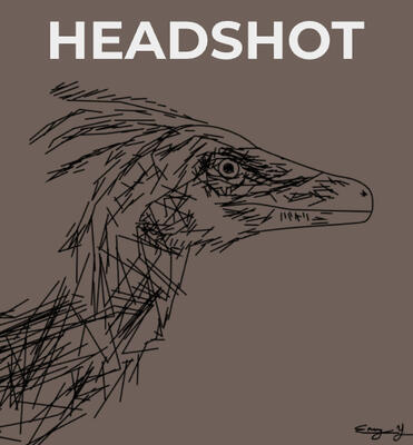 Headshot Headshot