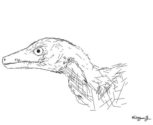 Velociraptor Velociraptor